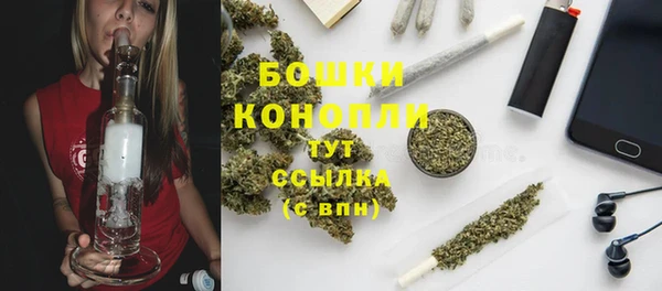 спайс Арсеньев