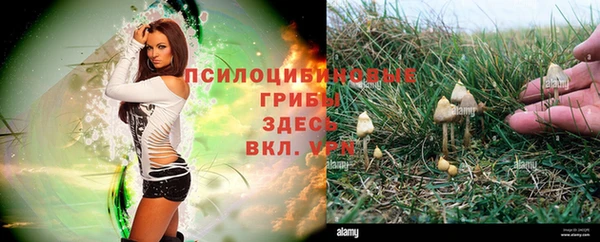 соль ск Аркадак