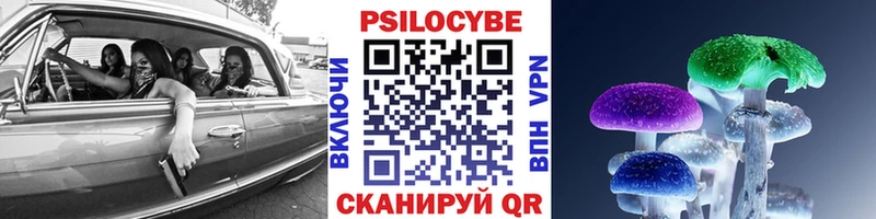 дарнет шоп  Шуя  блэк спрут зеркало  Галлюциногенные грибы Psilocybe 